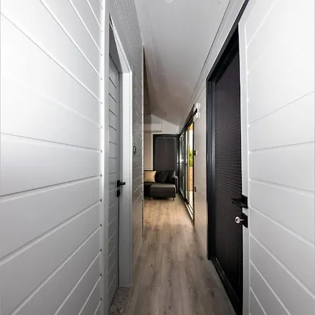 Nook Ortaca *